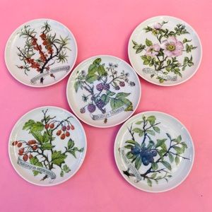 Vintage Kaiser W Germany saucers